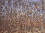 Ferdinand Hodler The Beech Forest (nn02) Sweden oil painting reproduction